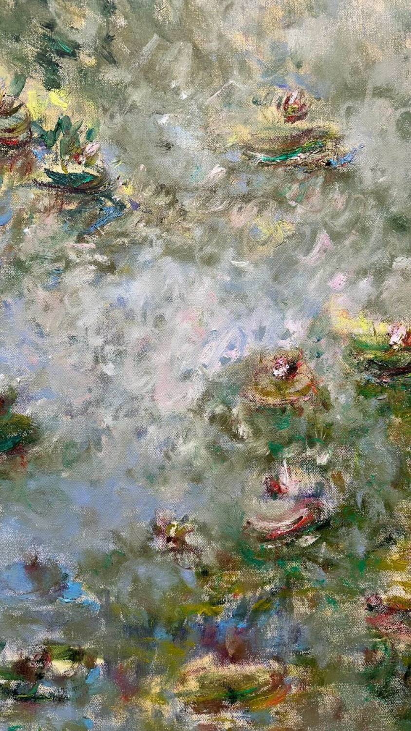 Waterlilies “ Nympheas” of the Florida Everglade