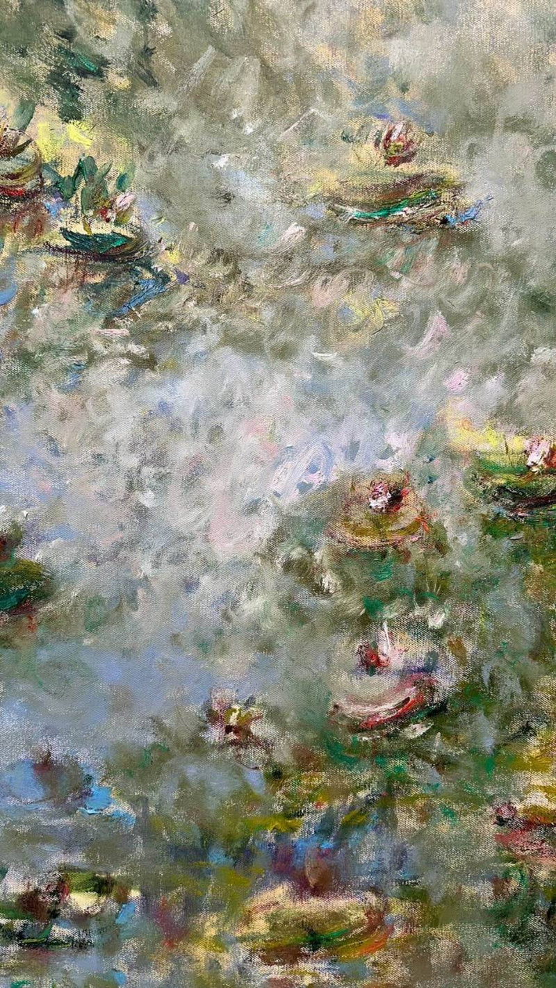 Waterlilies “ Nympheas” of the Florida Everglade