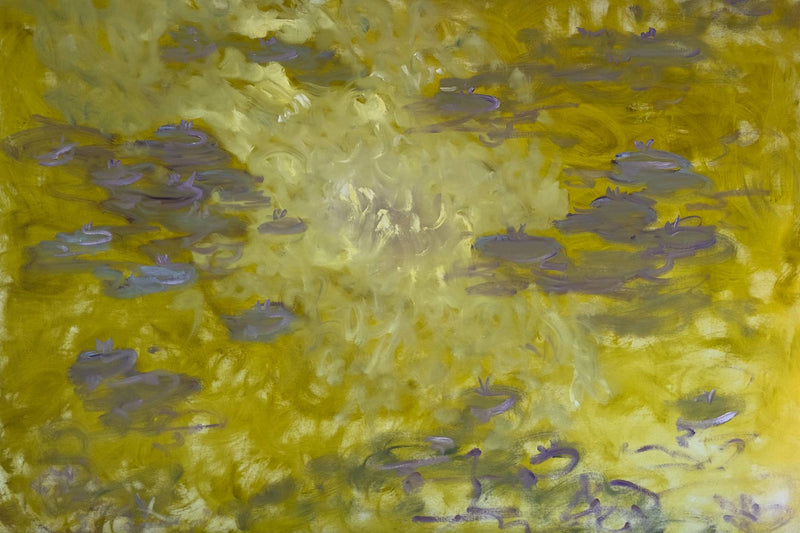 Yellow Water Lillies